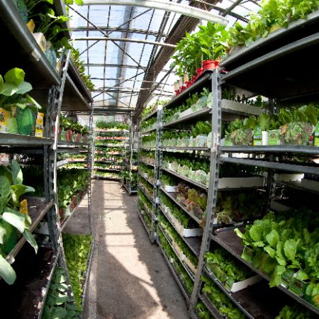 gallery-azienda-agricola-provini-11