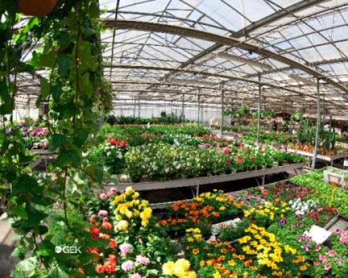 sm_gallery-azienda-agricola-provini-04