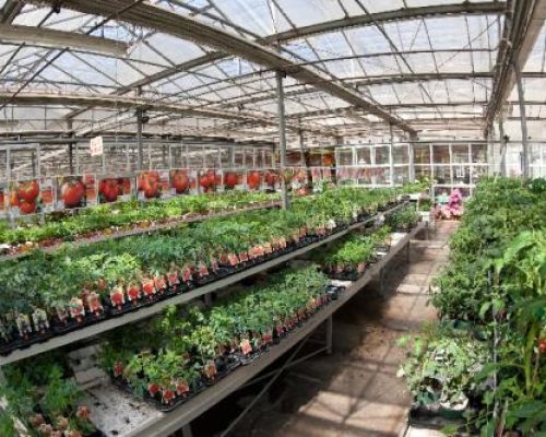 sm_gallery-azienda-agricola-provini-05