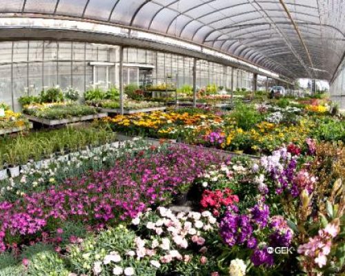 sm_gallery-azienda-agricola-provini-07